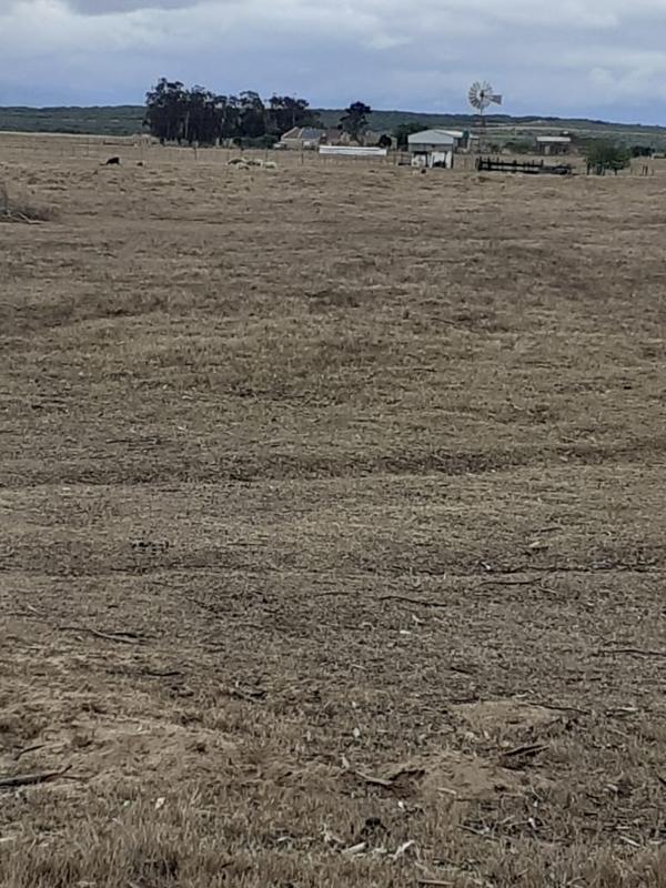 1 Bedroom Property for Sale in Riversdale Western Cape